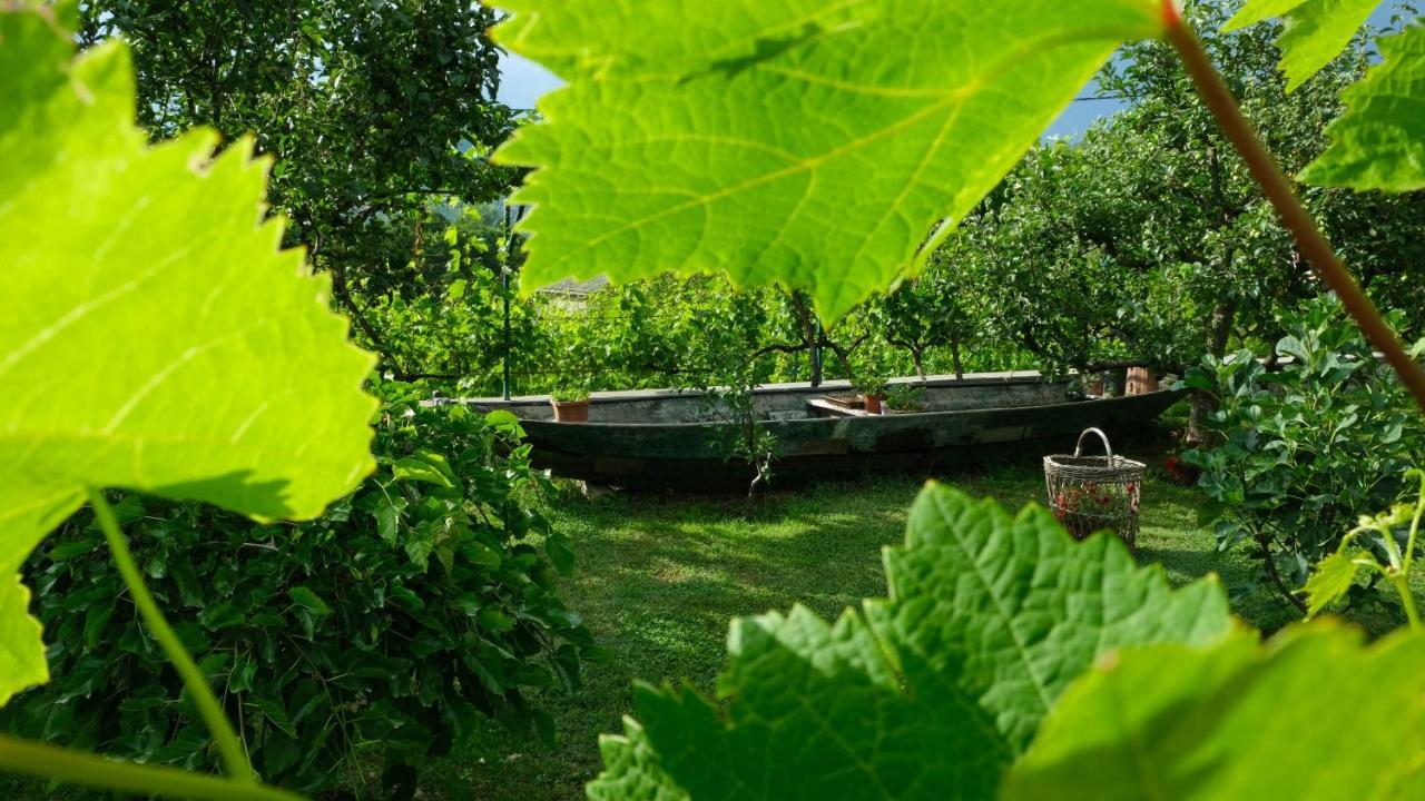 Country House Djurisic Virpazar Εξωτερικό φωτογραφία