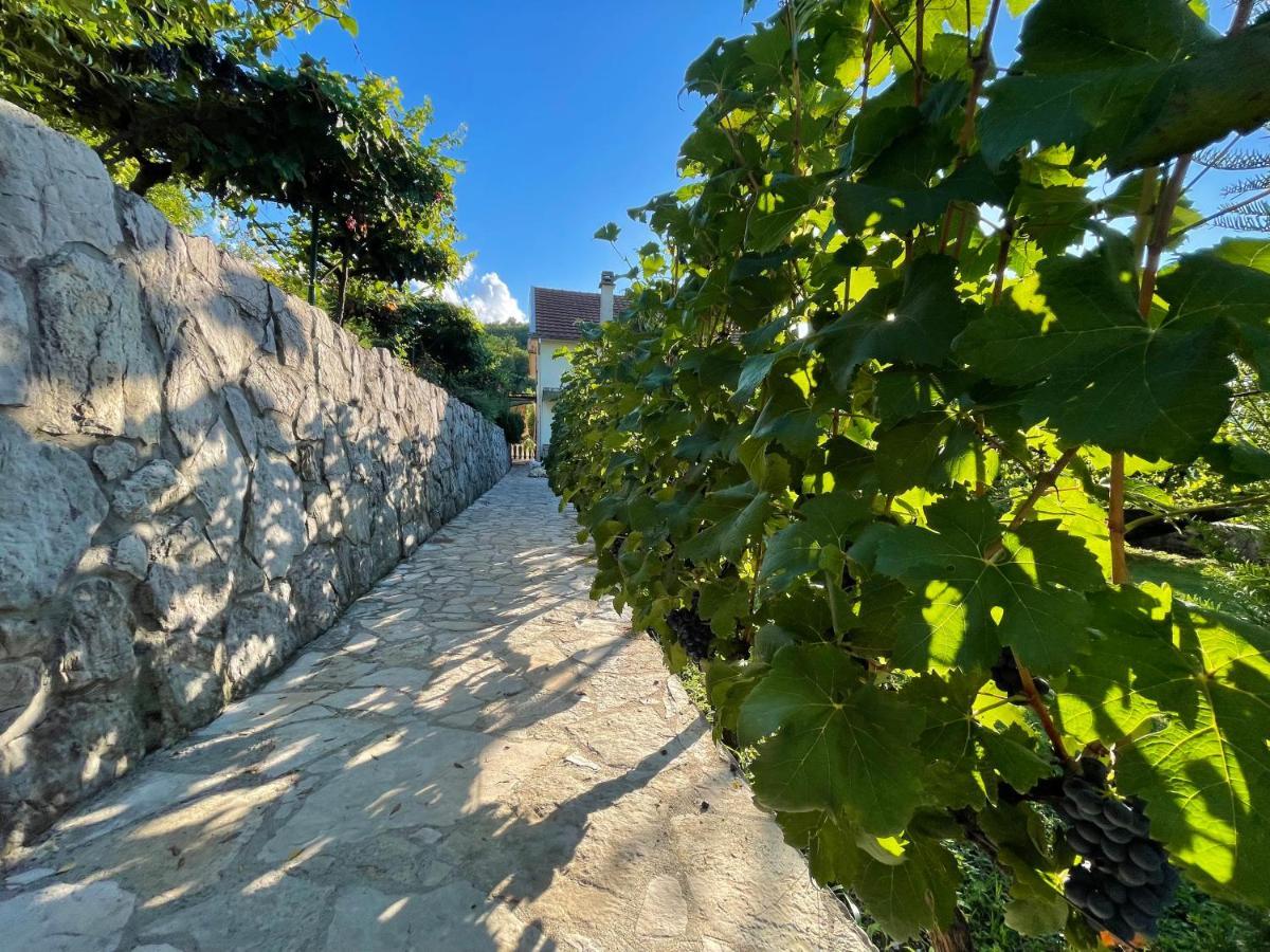Country House Djurisic Virpazar Εξωτερικό φωτογραφία