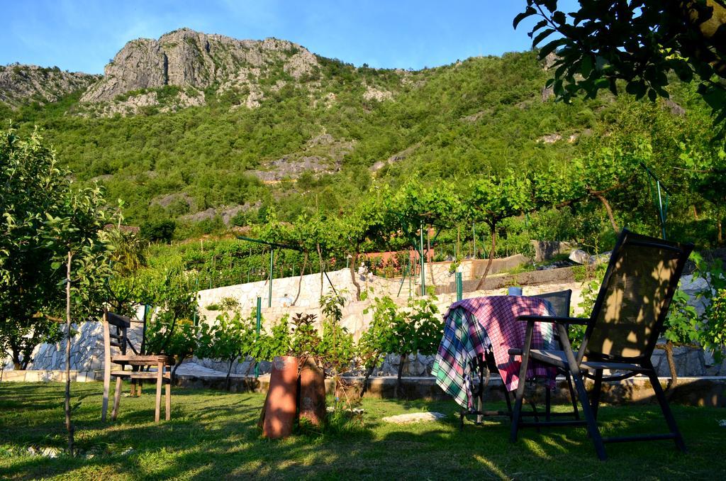 Country House Djurisic Virpazar Εξωτερικό φωτογραφία